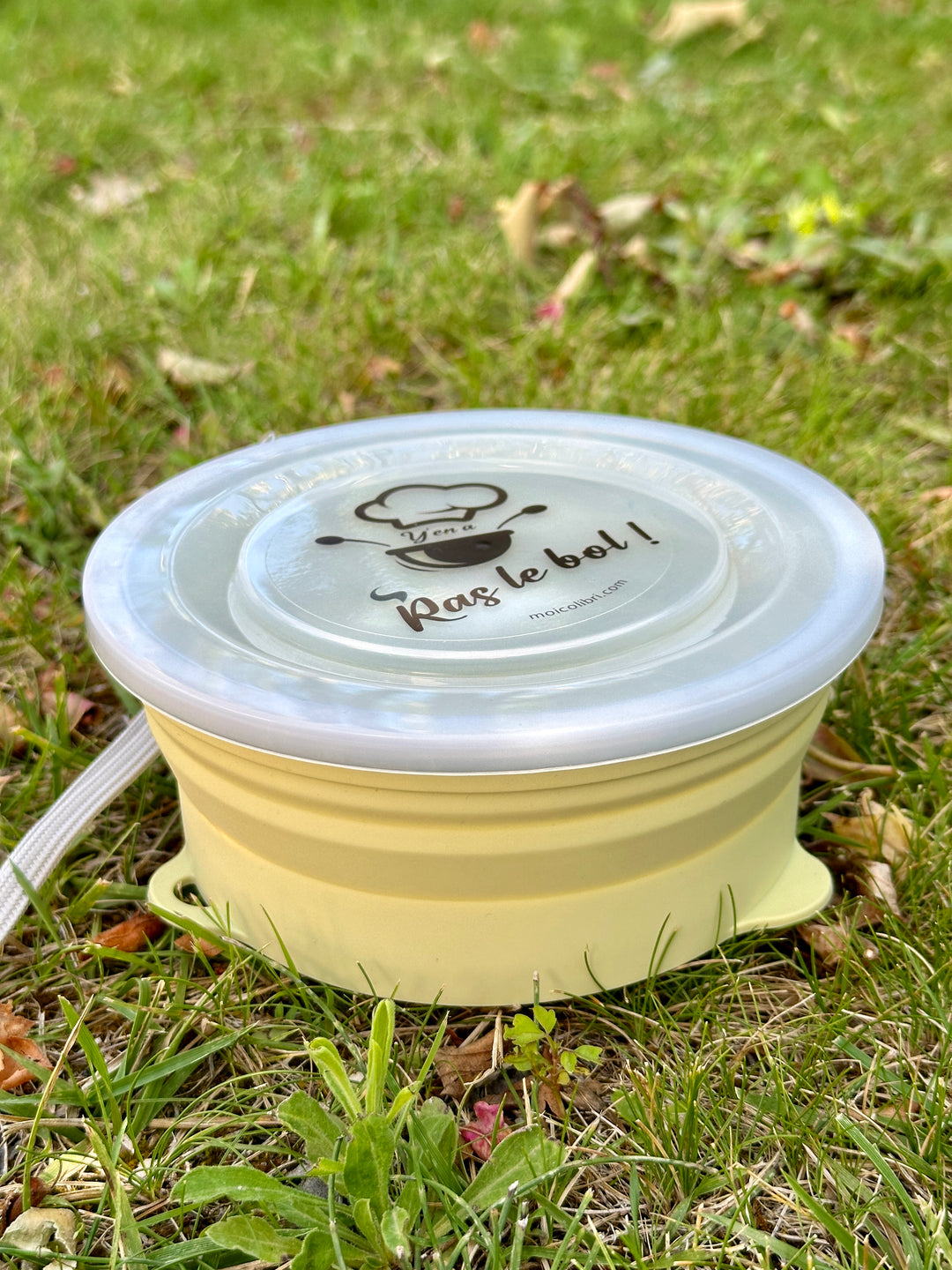 Câble Parallèle Tamiya 14 AWG - Connecteur/Adaptateur Pour Chargeur Batterie LiPo RC (marque RCTech)