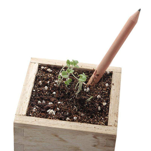 Crayon à graines à planter - Personnalisable-#moi Colibri